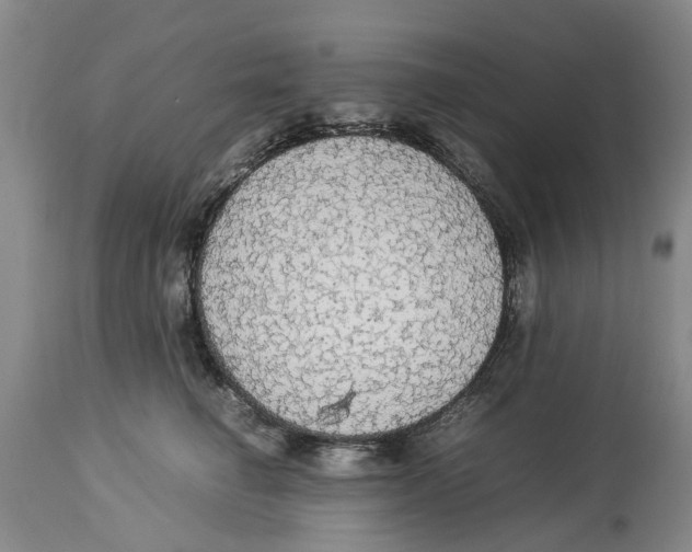 X0000114170662200911051529