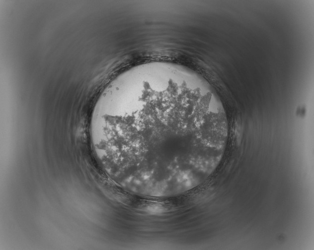 X0000114170663200911051529