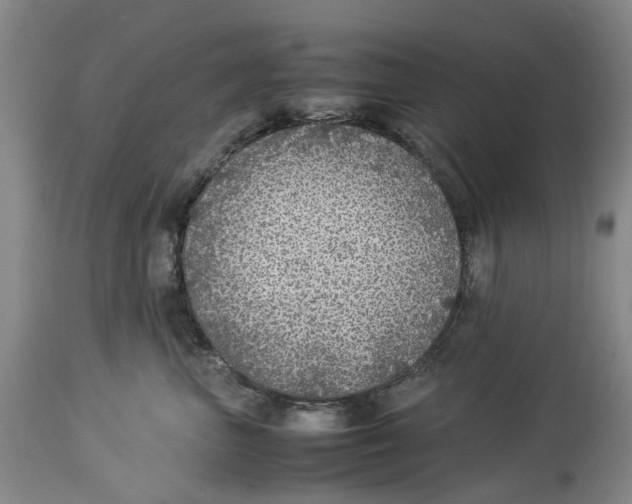 X0000114170667200911051529