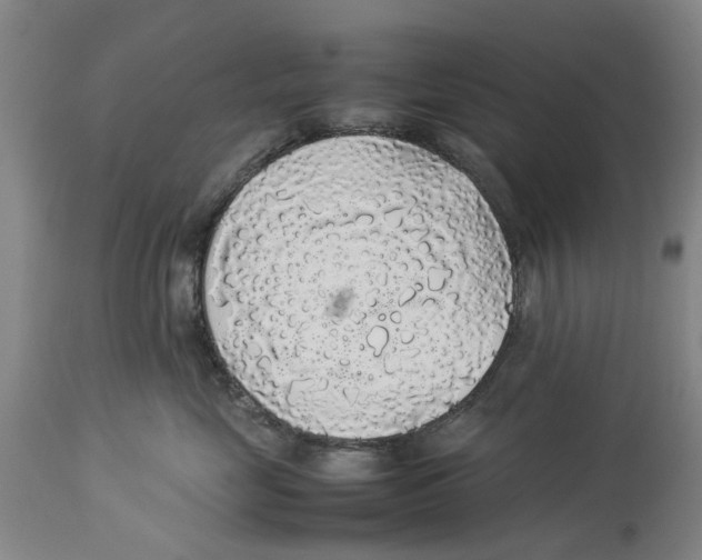 X0000114170669200911051529