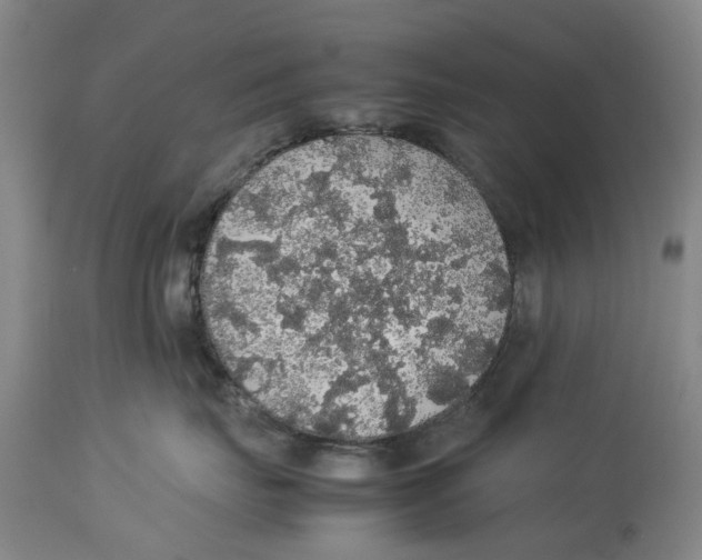 X0000114170671200911051529