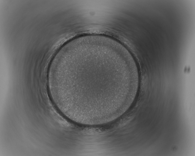 X0000114170673200911051528