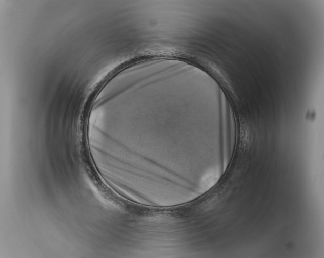 X0000114170674200911051528