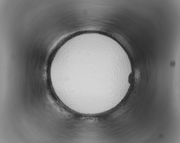 X0000114170676200911051528