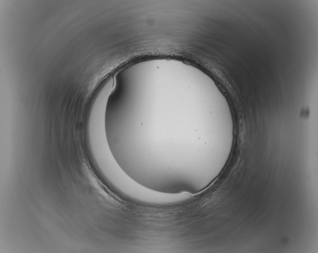 X0000114170677200911051528