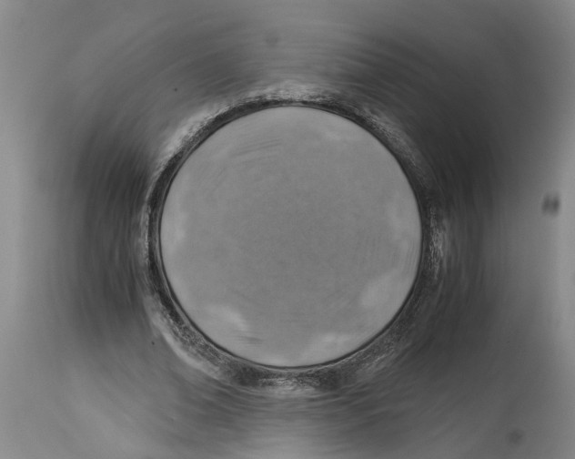 X0000114170678200911051528