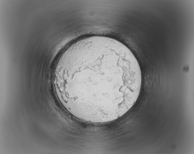 X0000114170679200911051528