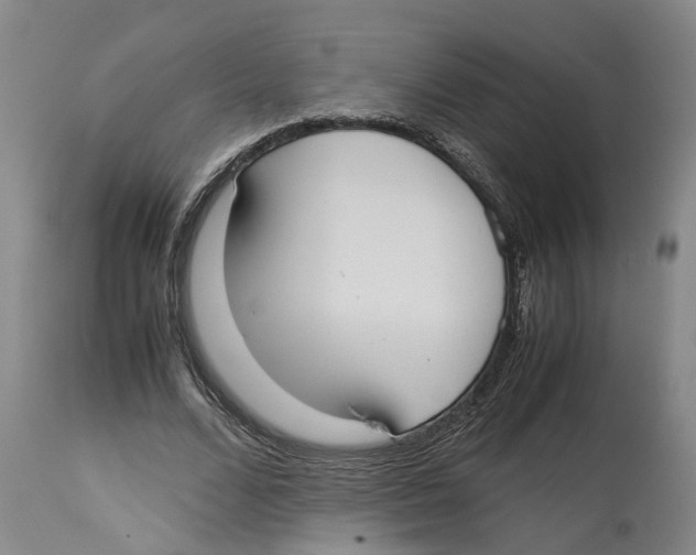 X0000114170680200911051528