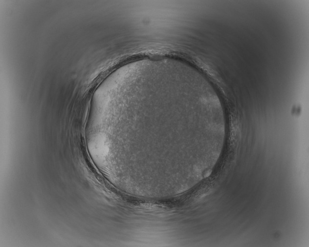 X0000114170681200911051528