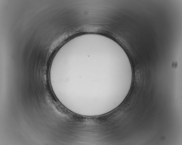 X0000114170682200911051528