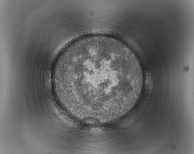 X0000114170684200911051528