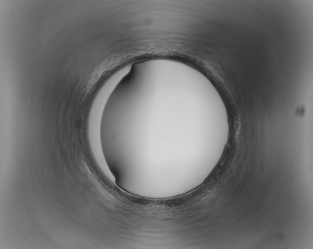 X0000114170685200911051528