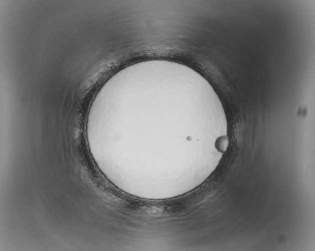 X0000114170687200911051528