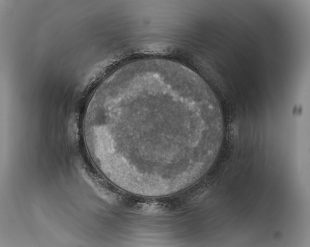 X0000114170688200911051528