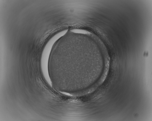 X0000114170689200911051528