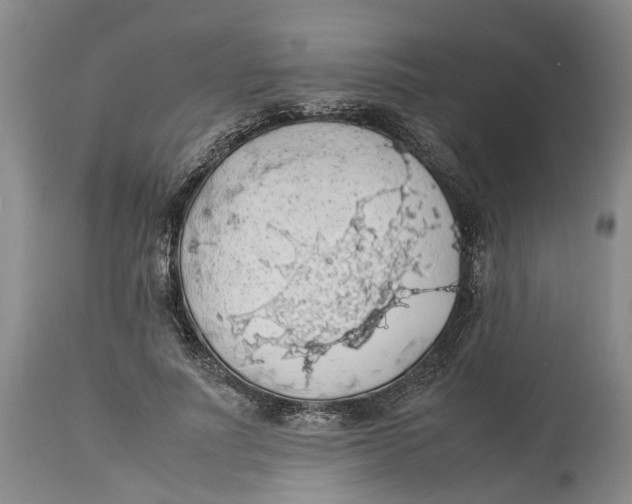 X0000114170691200911051528