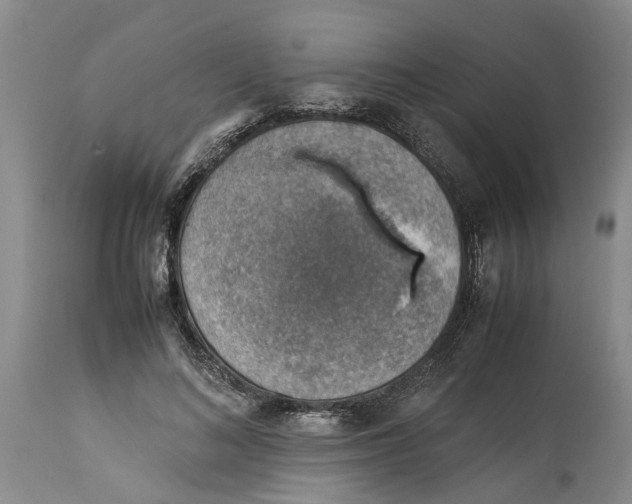 X0000114170692200911051528