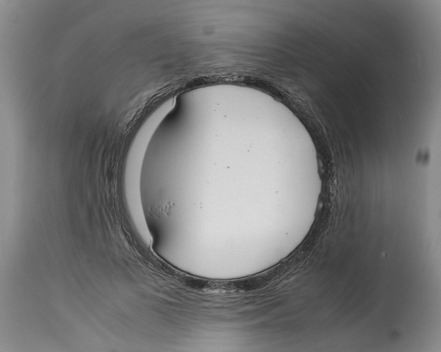 X0000114170693200911051528