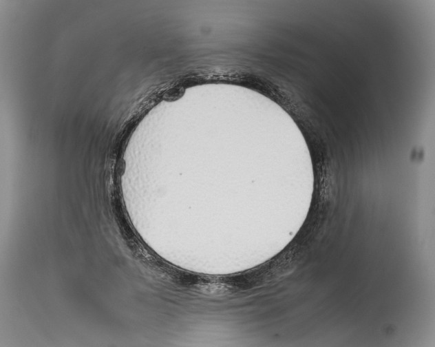 X0000114170695200911051528