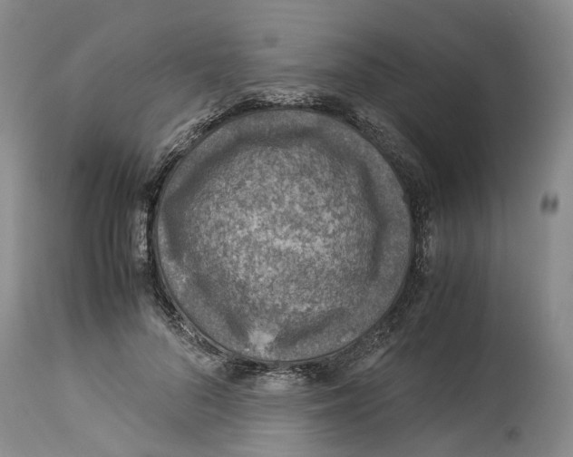 X0000114170696200911051528