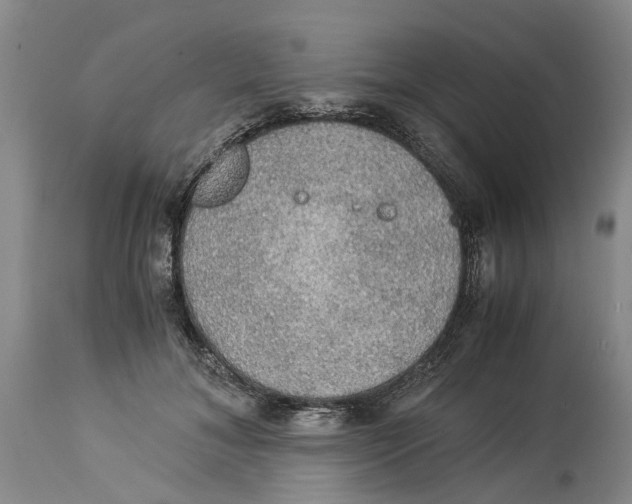 X0000114170700200911051527