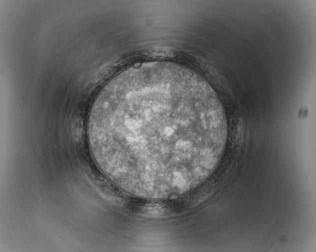 X0000114170704200911051527