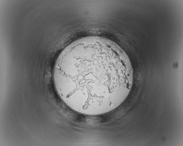 X0000114170707200911051527