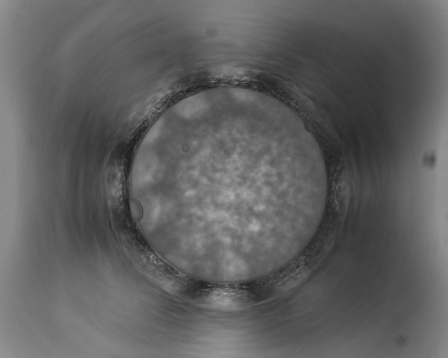 X0000114170708200911051527