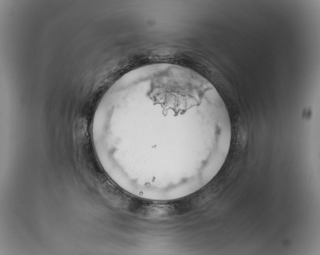 X0000114170711200911051527