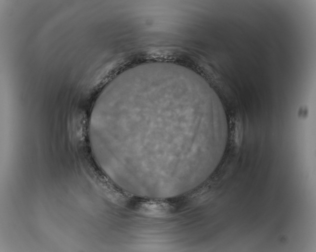 X0000114170712200911051527