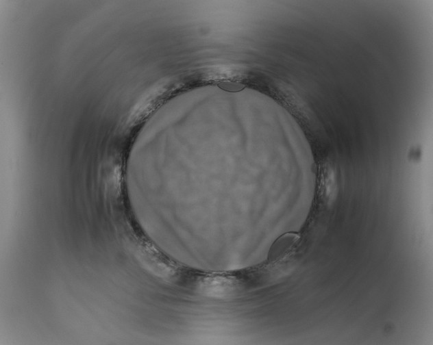 X0000114170716200911051527