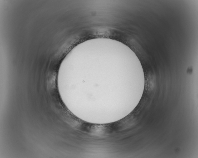 X0000114170717200911051527