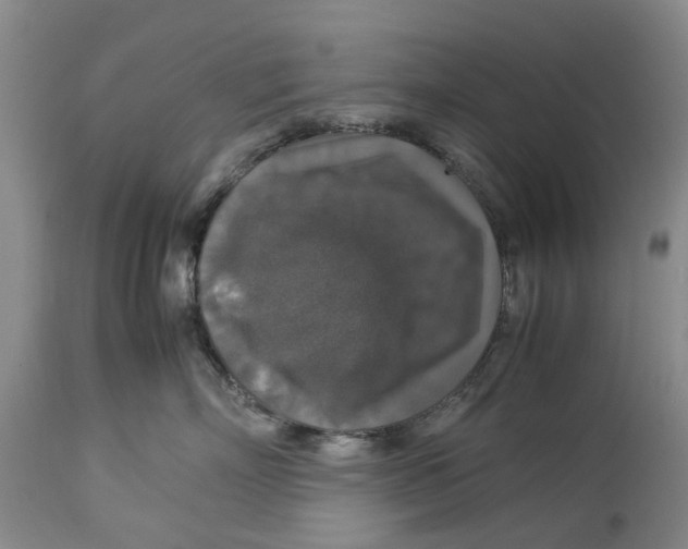 X0000114170718200911051527