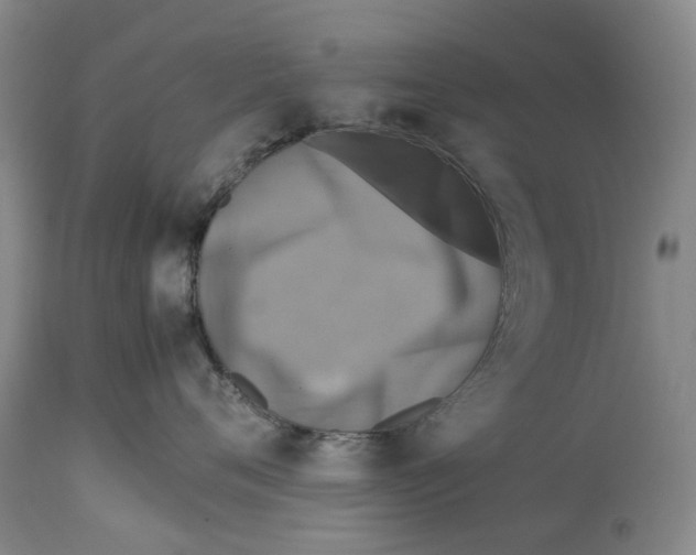 X0000114170720200911051527