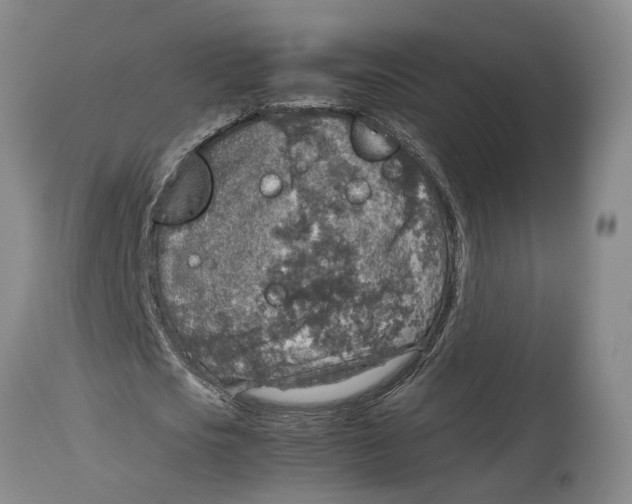 X0000114170721200911051526