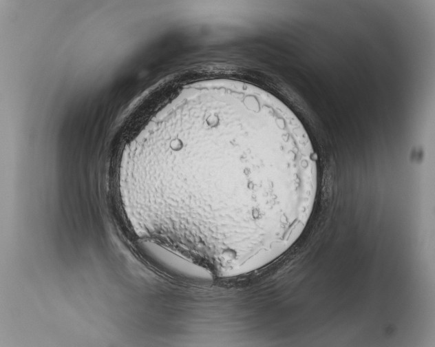 X0000114170722200911051526