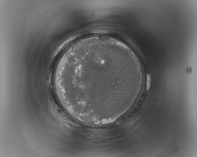 X0000114170723200911051526