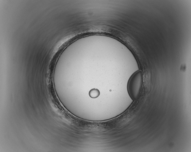 X0000114170724200911051526