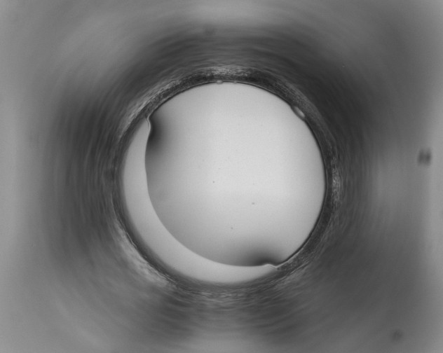 X0000114170725200911051526