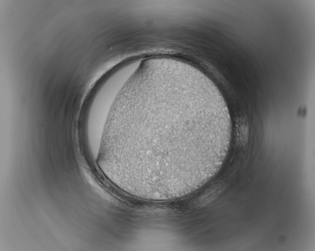 X0000114170726200911051526