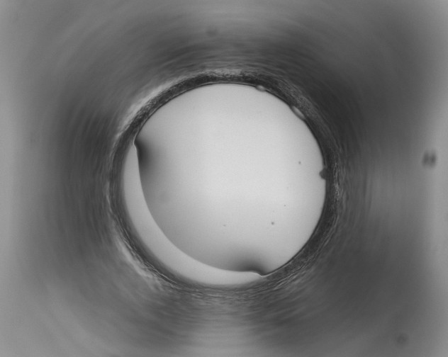 X0000114170728200911051526