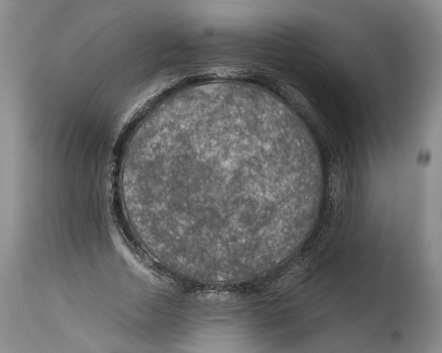 X0000114170730200911051526