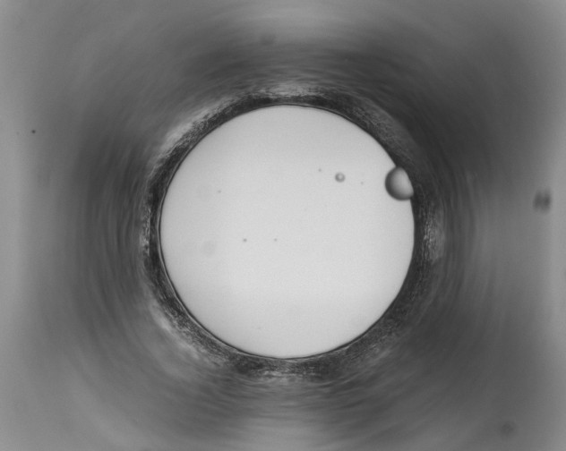 X0000114170732200911051527