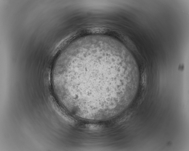 X0000114170733200911051527