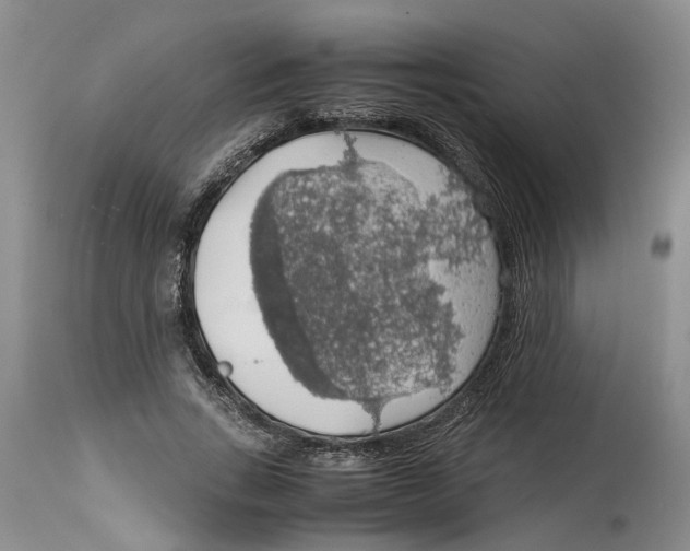 X0000114170735200911051527