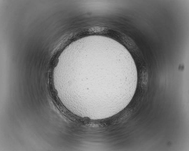 X0000114170738200911051527