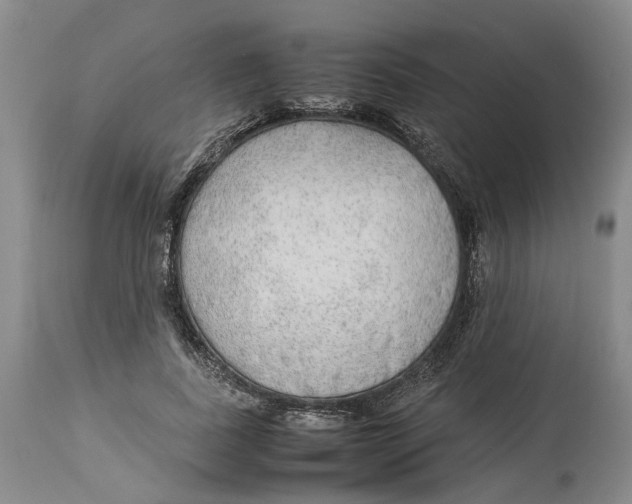 X0000114170739200911051527