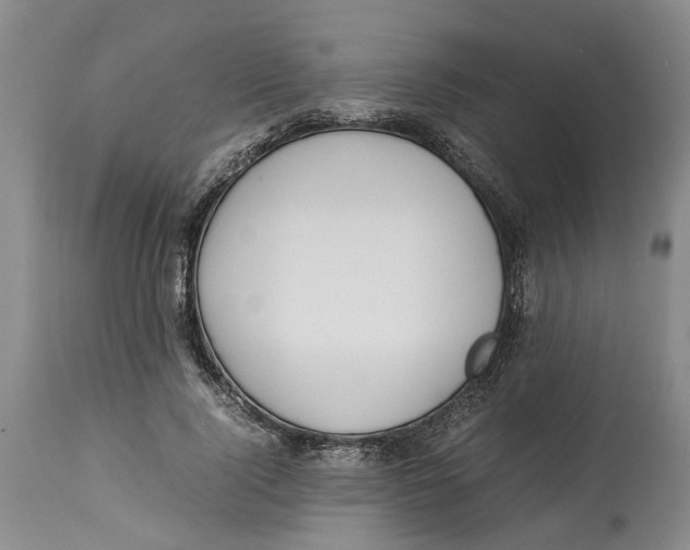 X0000114170740200911051527