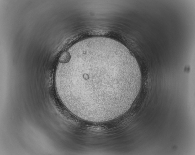 X0000114170743200911051527