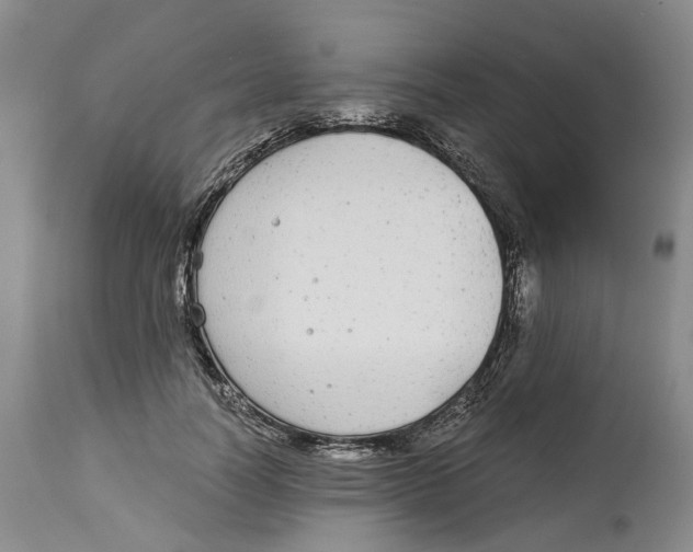 X0000114170746200911051527